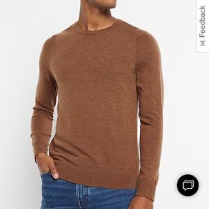 EXPRESS  Wool Sweater